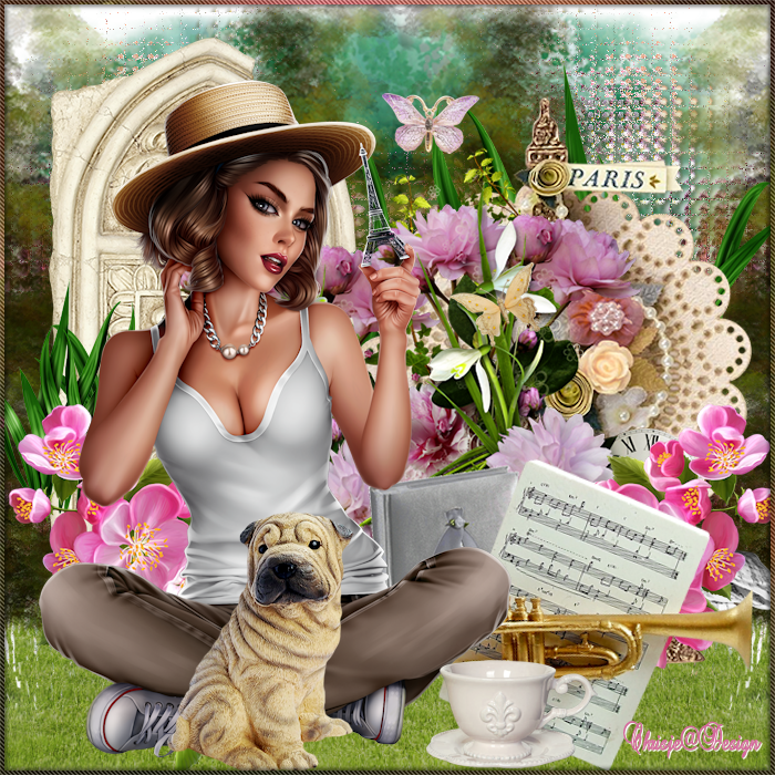 Image and video hosting by TiyPic